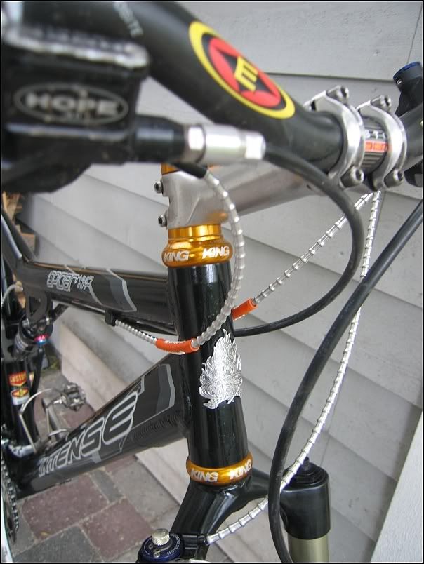 alligator bike cables